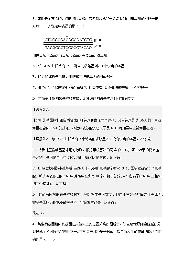 2022-2023学年湖北省襄阳市襄州区一中高二9月月考生物试题含解析第3页