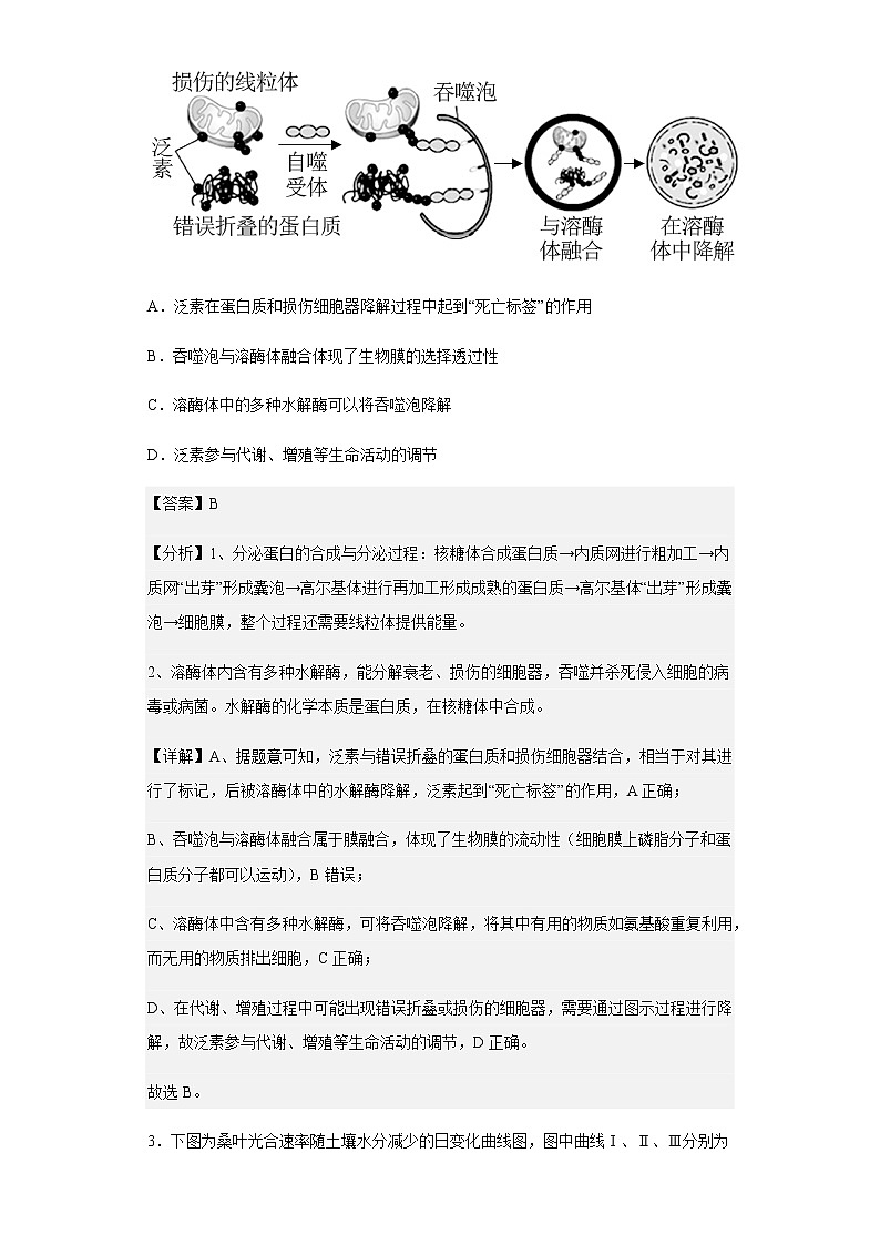 2022-2023学年湖南省岳阳市岳阳县一中高二上学期入学考试生物试题含解析02