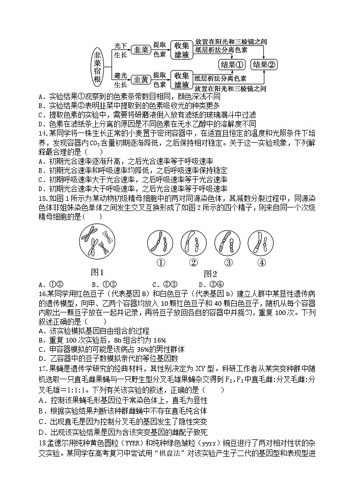 2023宝鸡、汉中联考高三上学期11月月考期中生物试题含答案第3页