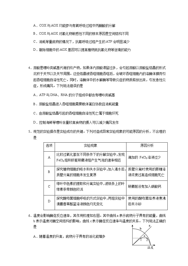 2023日照高三上学期校际期中联考生物试题PDF版含答案02