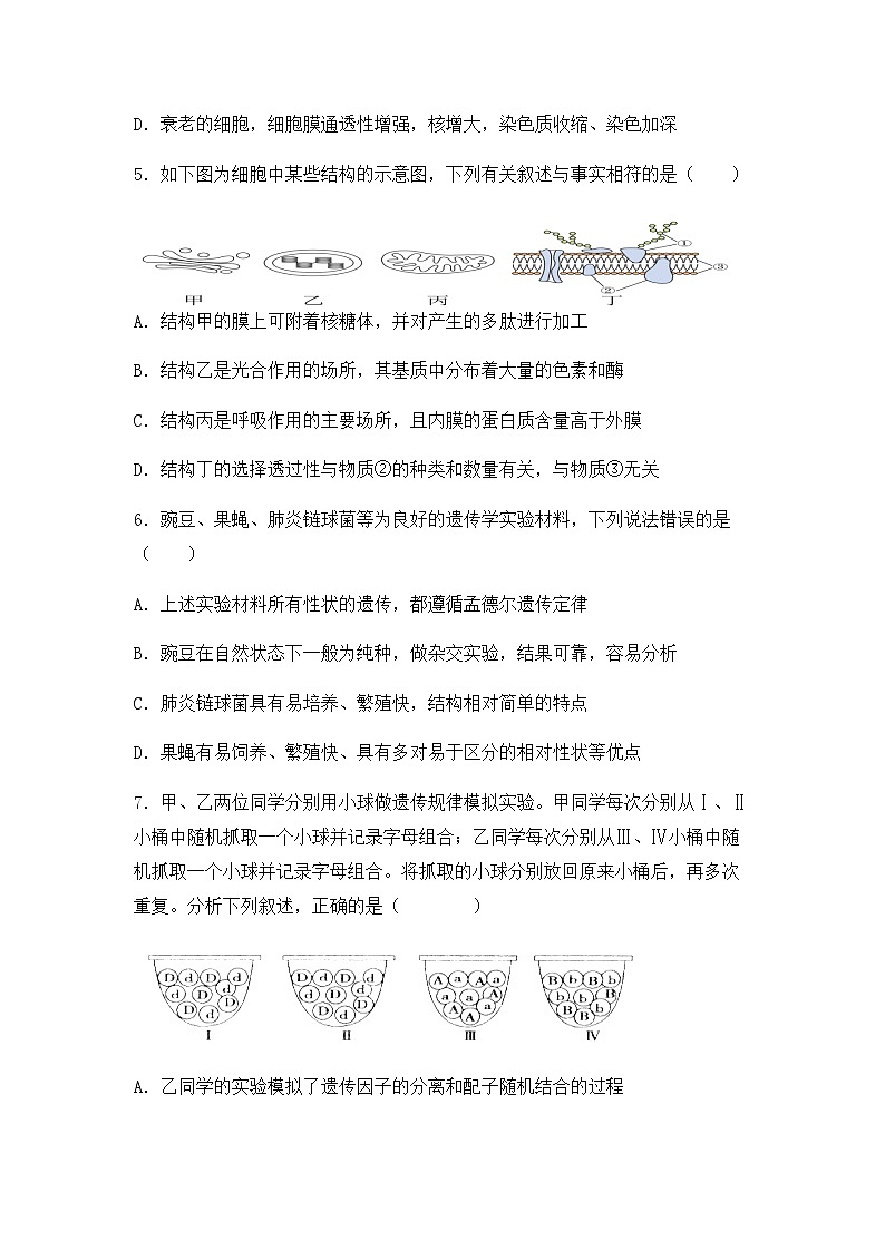 2023天津市八校联考高三上学期期中考试生物试题含答案02