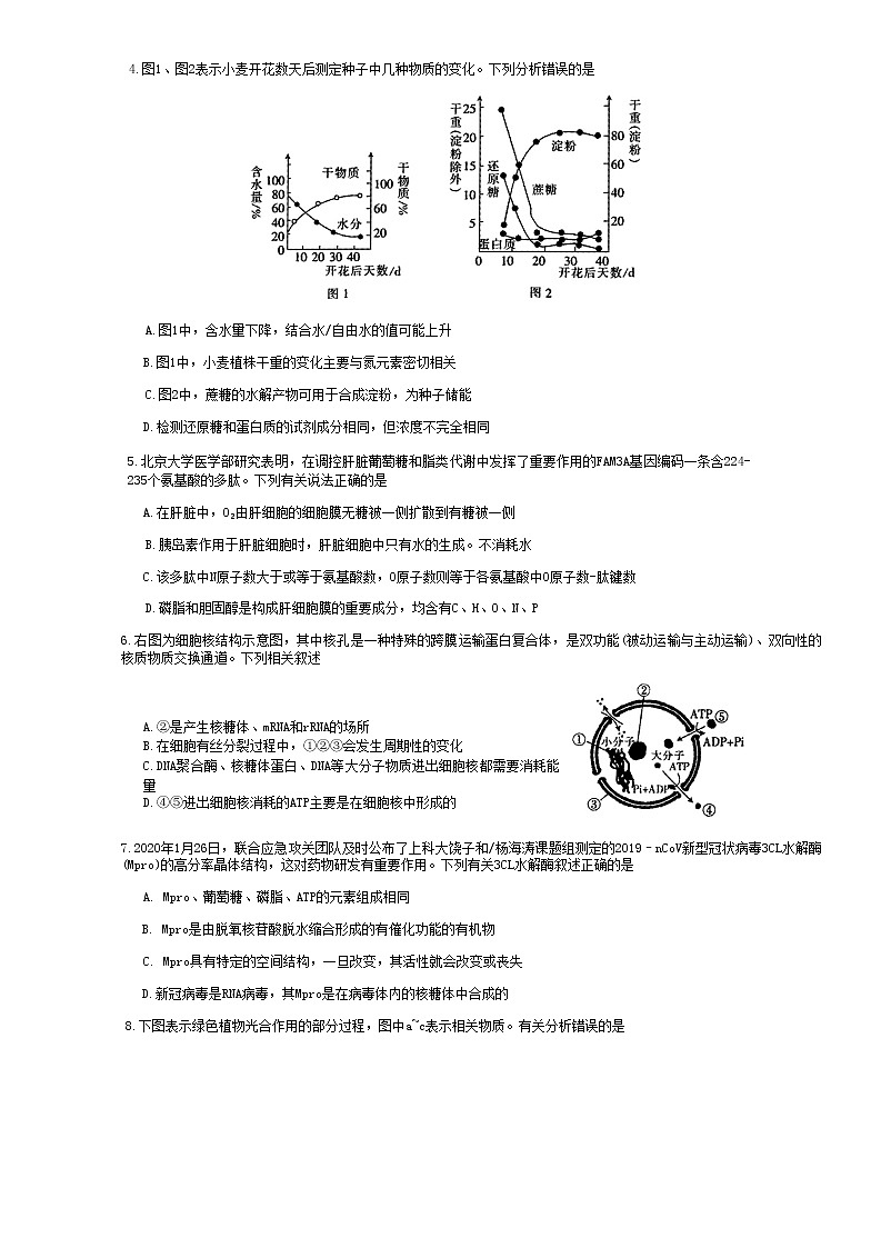 2023运城高三上学期11月期中考试生物试题含答案03