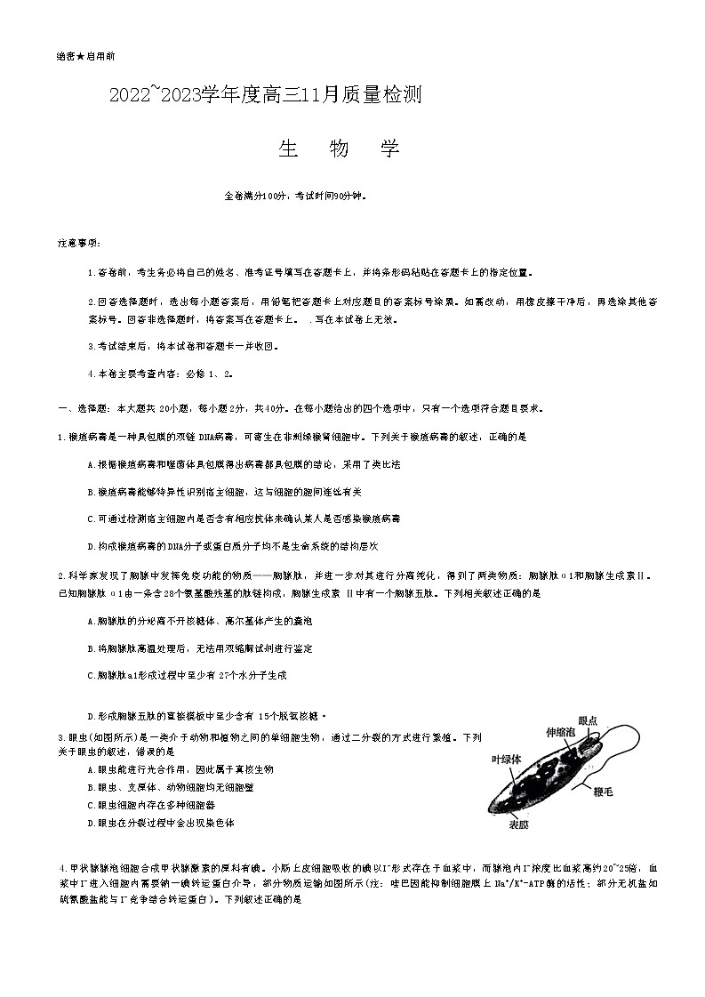 2023山西省金科大联考高三上学期11月质量检测生物试题含答案01