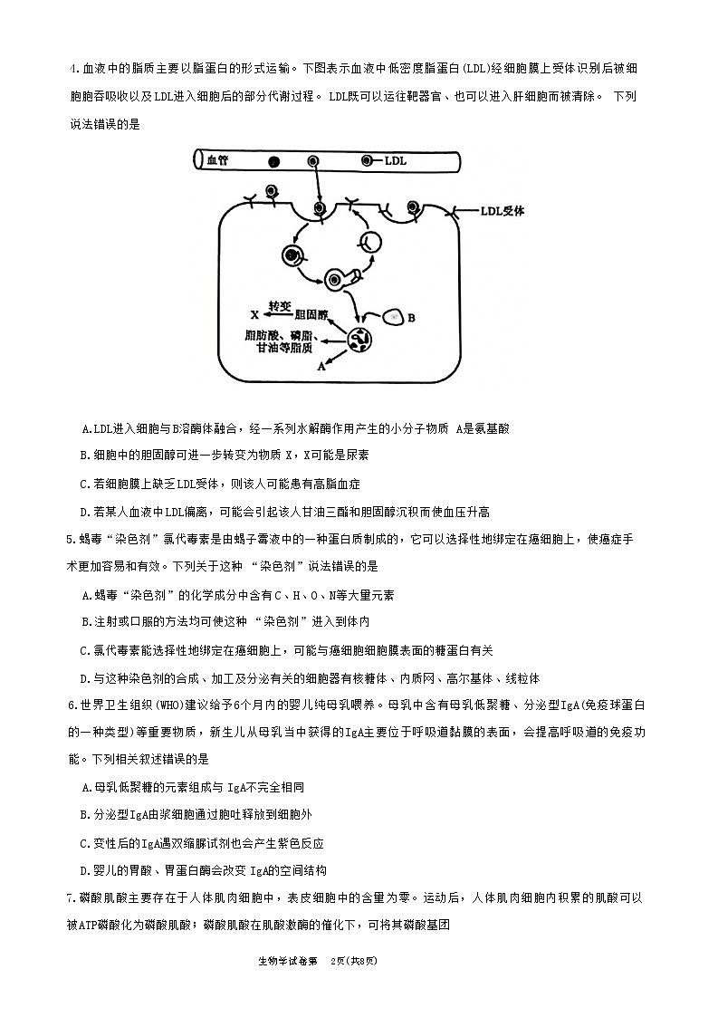 湖北省黄冈市2022-2023学年高三上学期期中质量抽测生物试题（含答案）02