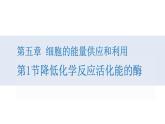 人教版高中生物高一必修一分子与细胞课件5.1降低化学反应活化能的酶(第1课时)