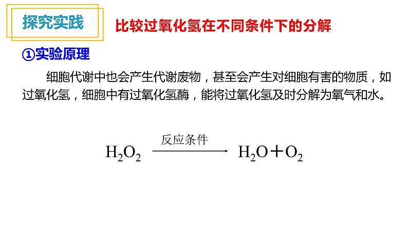 人教版高中生物高一必修一分子与细胞课件5.1降低化学反应活化能的酶(第1课时)06