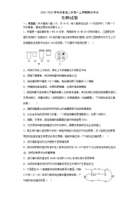 山东省单县第二中学2022-2023学年高一上学期期中考试生物试题（含答案）