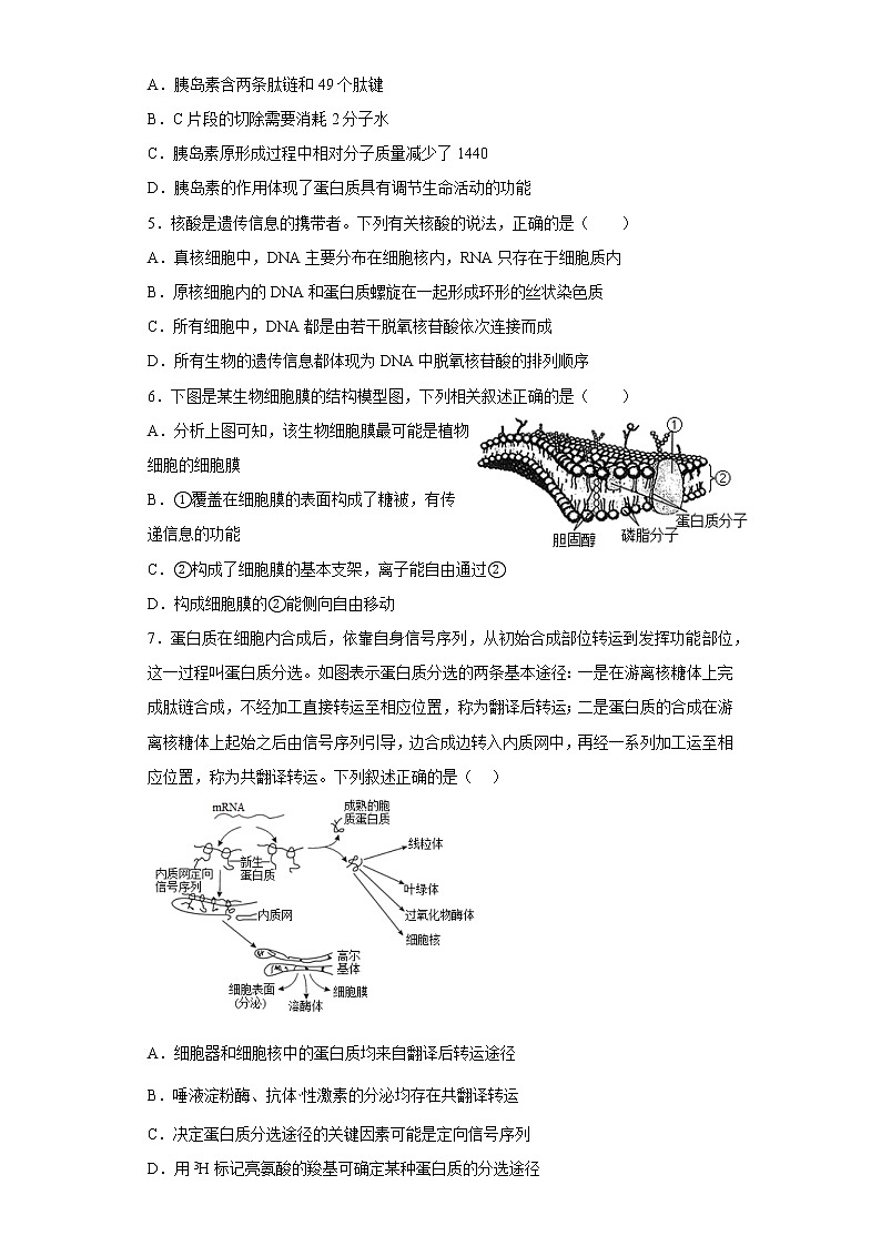 山东省单县第二中学2022-2023学年高一上学期期中考试生物试题第2页