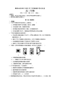 湖南省衡阳师范学院祁东附属中学2022-2023学年高三上学期期中考试生物试题（含答案）