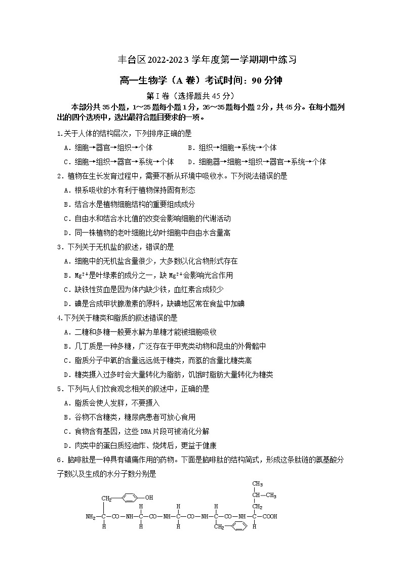 北京市丰台区2022-2023学年高一生物上学期11月期中试题（Word版附答案）01