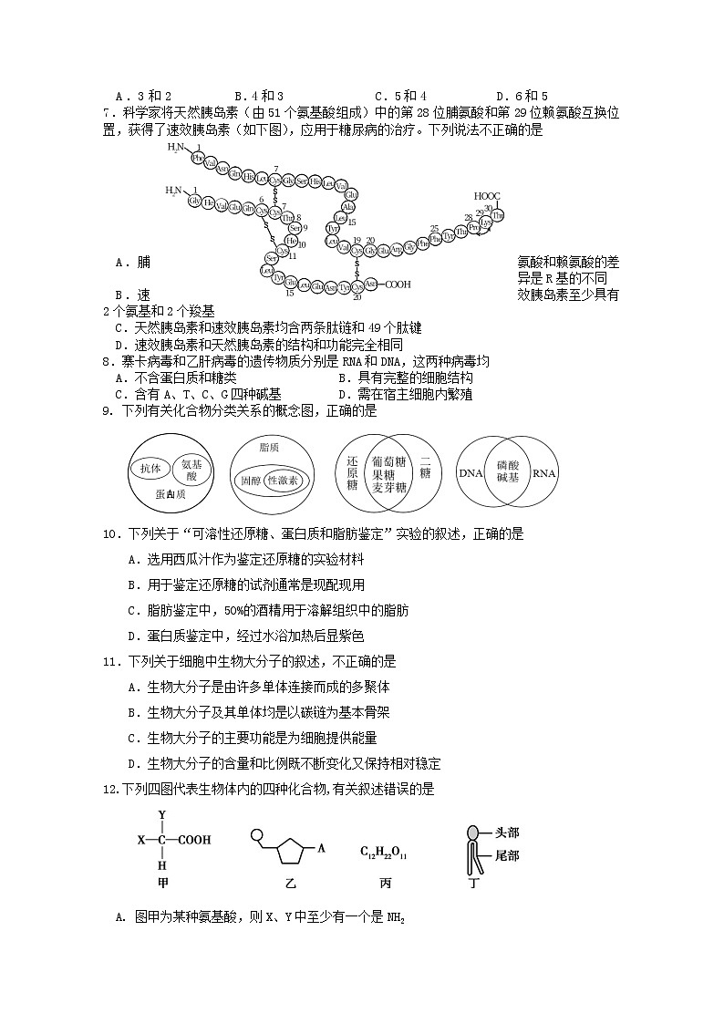 北京市丰台区2022-2023学年高一生物上学期11月期中试题（Word版附答案）02