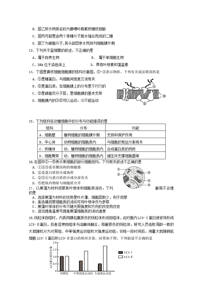 北京市丰台区2022-2023学年高一生物上学期11月期中试题（Word版附答案）03