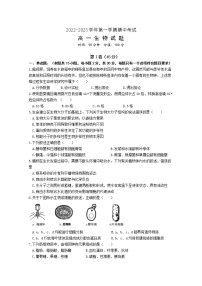 山东省聊城第一中学2022-2023学年高一生物上学期11月期中考试试题（Word版附答案）