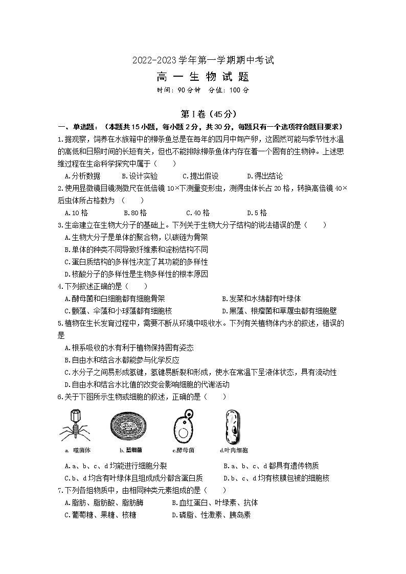 山东省聊城第一中学2022-2023学年高一生物上学期11月期中考试试题（Word版附答案）01