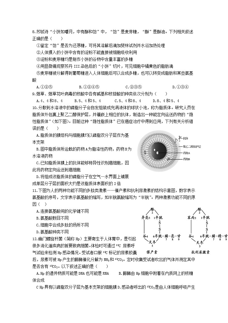 山东省聊城第一中学2022-2023学年高一生物上学期11月期中考试试题（Word版附答案）02