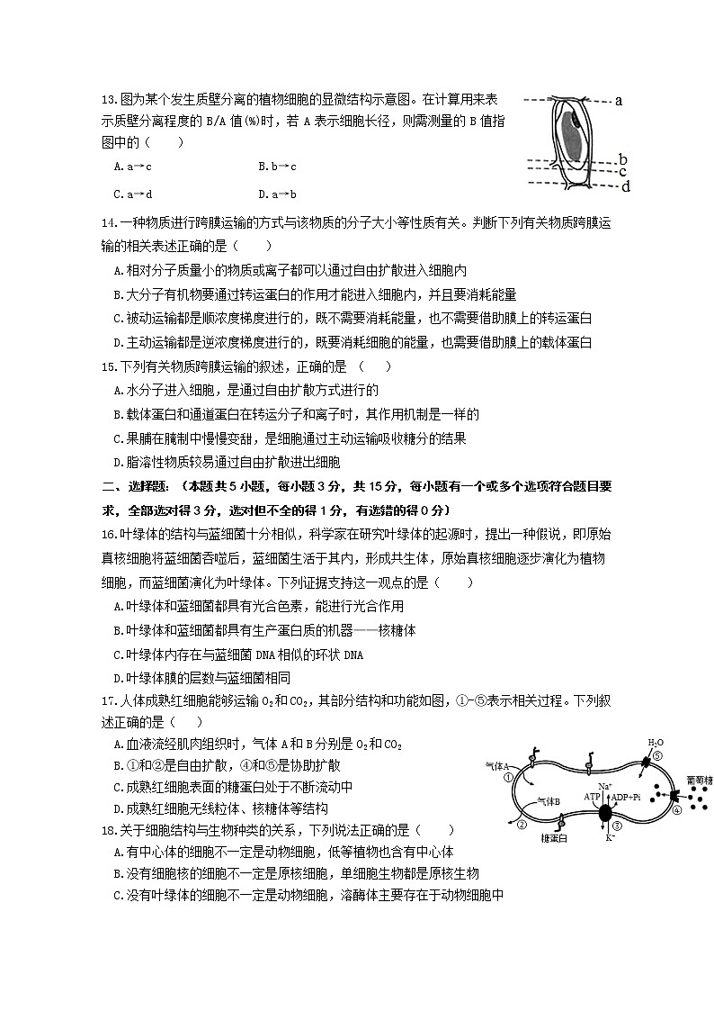 山东省聊城第一中学2022-2023学年高一生物上学期11月期中考试试题（Word版附答案）03