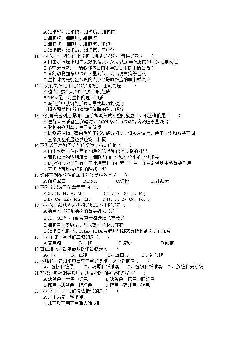 四川省射洪中学2022-2023学年高一生物上学期期中考试试题（Word版附答案）02