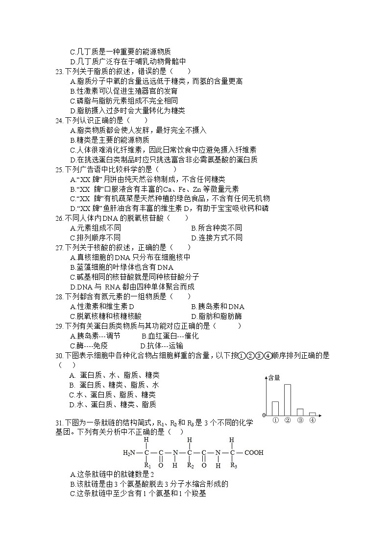 四川省射洪中学2022-2023学年高一生物上学期期中考试试题（Word版附答案）03