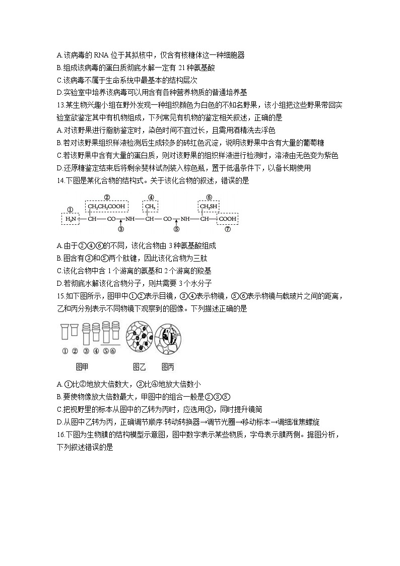 四川省成都市郫都区2022-2023学年高一生物上学期期中考试试题（Word版附答案）第3页