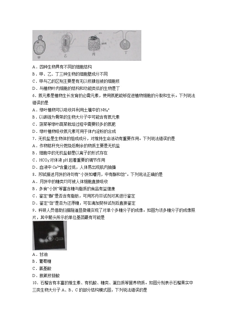 山东省青岛市四区县2022-2023学年高一生物上学期期中考试试题（Word版附答案）第2页