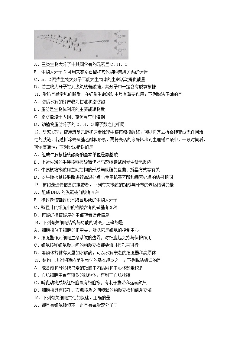 山东省青岛市四区县2022-2023学年高一生物上学期期中考试试题（Word版附答案）第3页