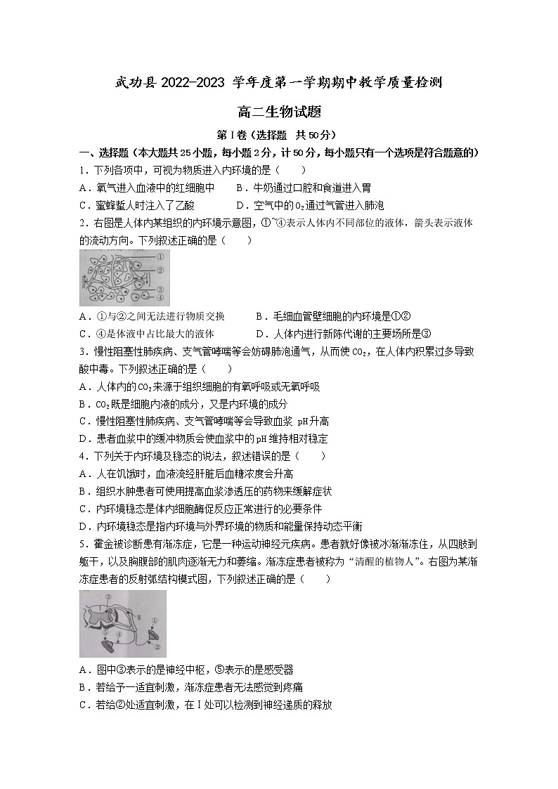 陕西省咸阳市武功县2022-2023学年高二生物上学期期中试题（Word版附答案）01
