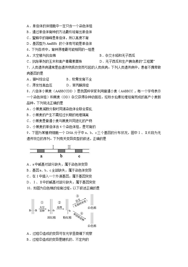 四川省绵阳南山中学2022-2023学年高二生物上学期11月期中试题（Word版附答案）第2页