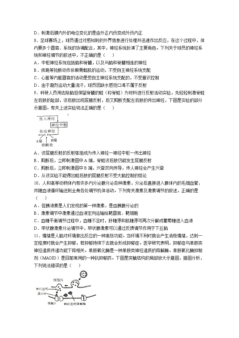 湖北省部分高中联考协作体2022-2023学年高二生物上学期期中考试试题（Word版附答案）03