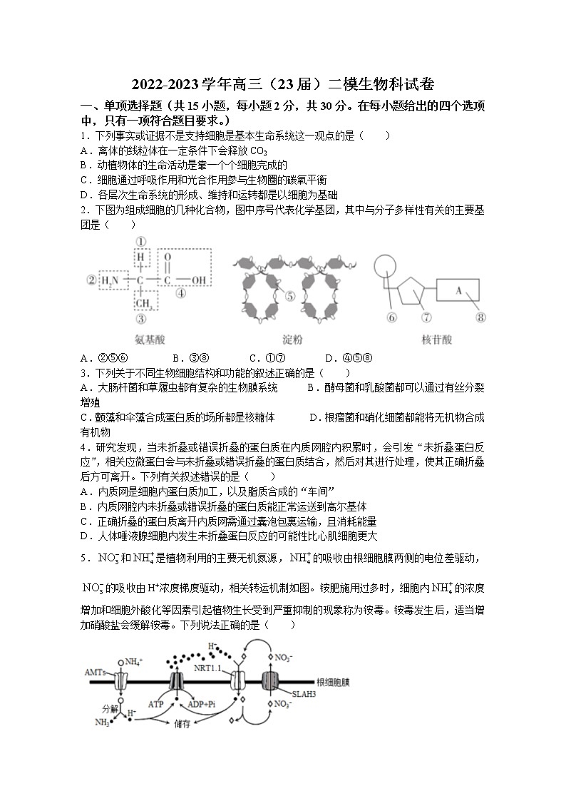 辽宁省鞍山市第一中学2022-2023学年高三生物上学期第二次模拟试题（Word版附答案）第1页