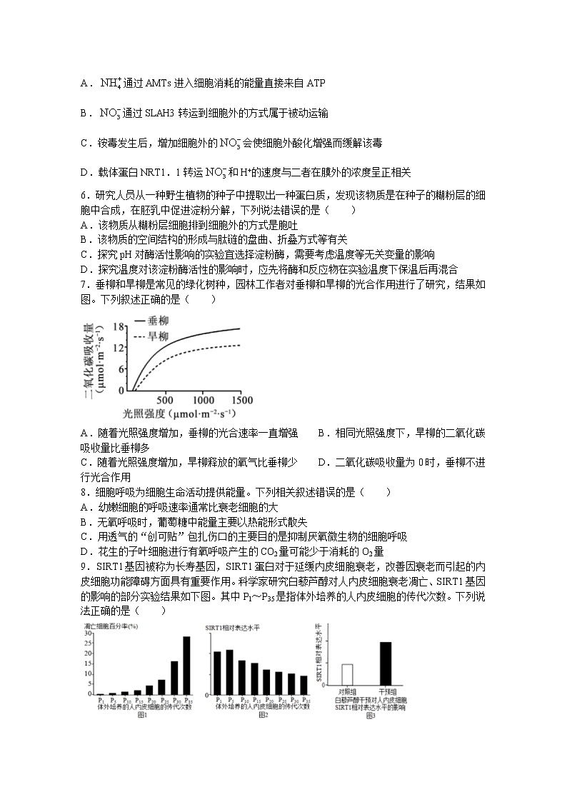 辽宁省鞍山市第一中学2022-2023学年高三生物上学期第二次模拟试题（Word版附答案）第2页