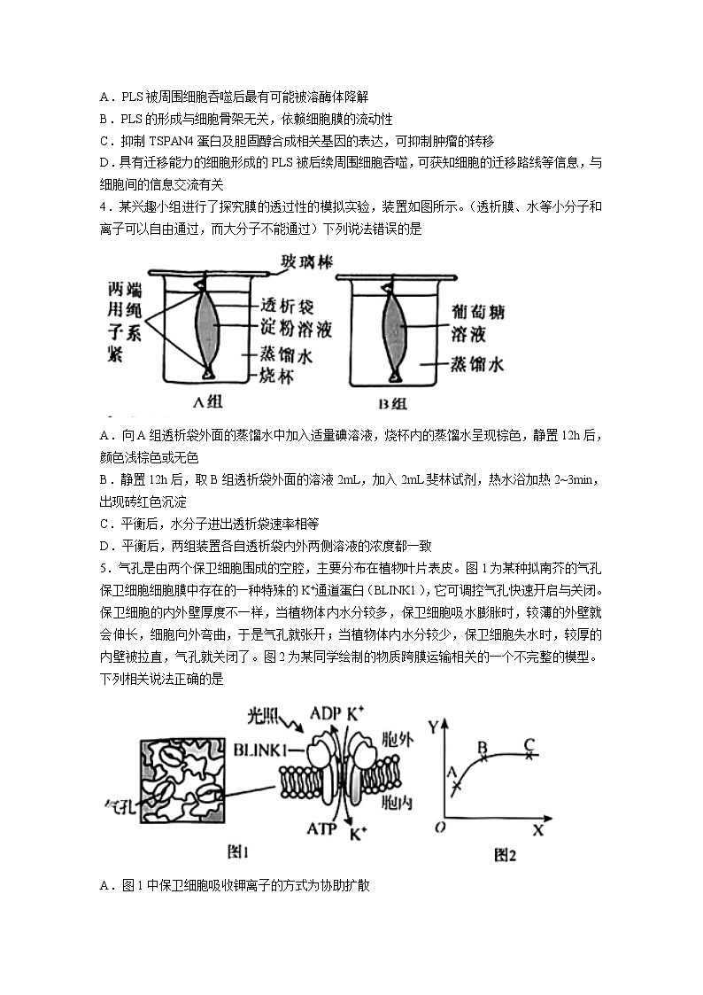 山东省菏泽市2023届高三生物上学期期中联考试题（A）（Word版附答案）第2页
