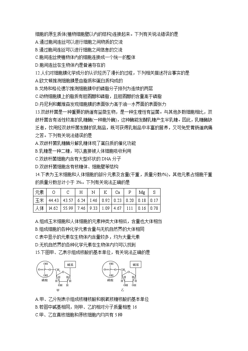 安徽省卓越县中联盟2022-2023学年高一生物上学期期中试题（Word版附解析）03