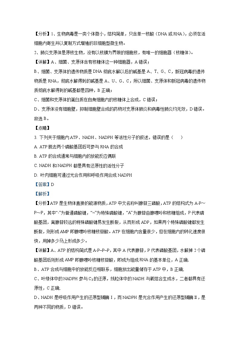 重庆市璧山来凤中学2022-2023学年高三生物10月月考试题（Word版附解析）02