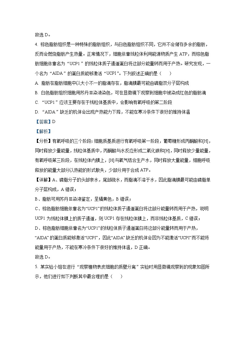 重庆市璧山来凤中学2022-2023学年高三生物10月月考试题（Word版附解析）03