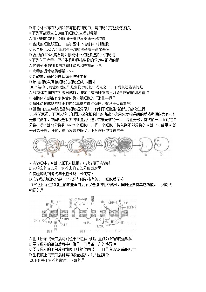 山西省太原市2022-2023学年高三生物上学期期中质量监测试题（Word版附答案）02