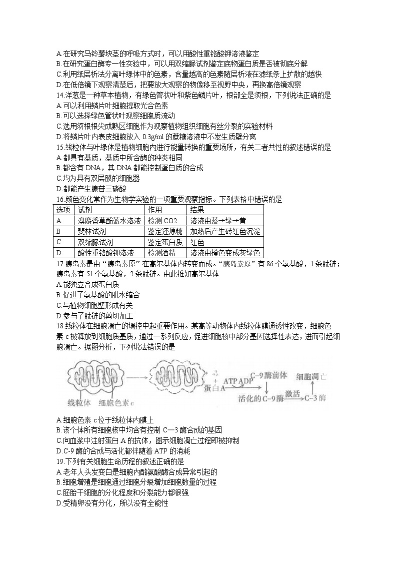 山西省太原市2022-2023学年高三生物上学期期中质量监测试题（Word版附答案）03