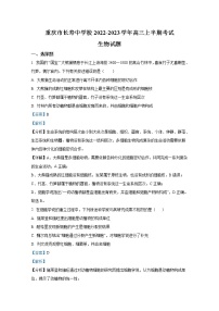 重庆市长寿中学2022-2023学年高三生物上学期期中考试试卷（Word版附解析）