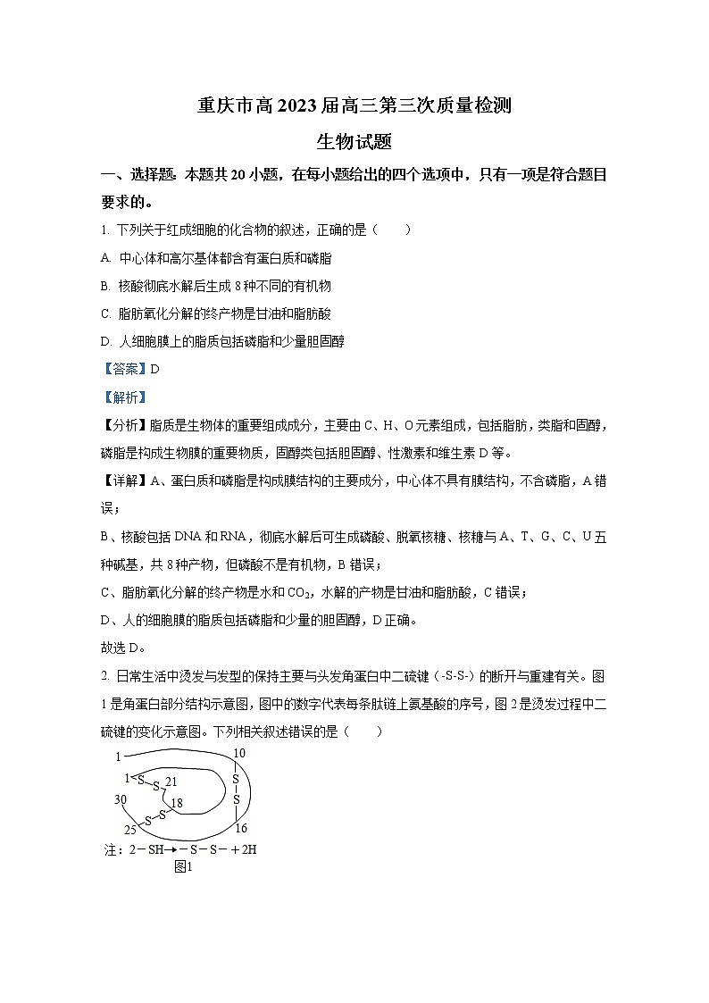 重庆市南开中学2022-2023学年高三生物上学期11月月考试题（Word版附解析）01