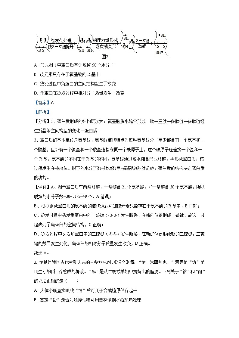重庆市南开中学2022-2023学年高三生物上学期11月月考试题（Word版附解析）02