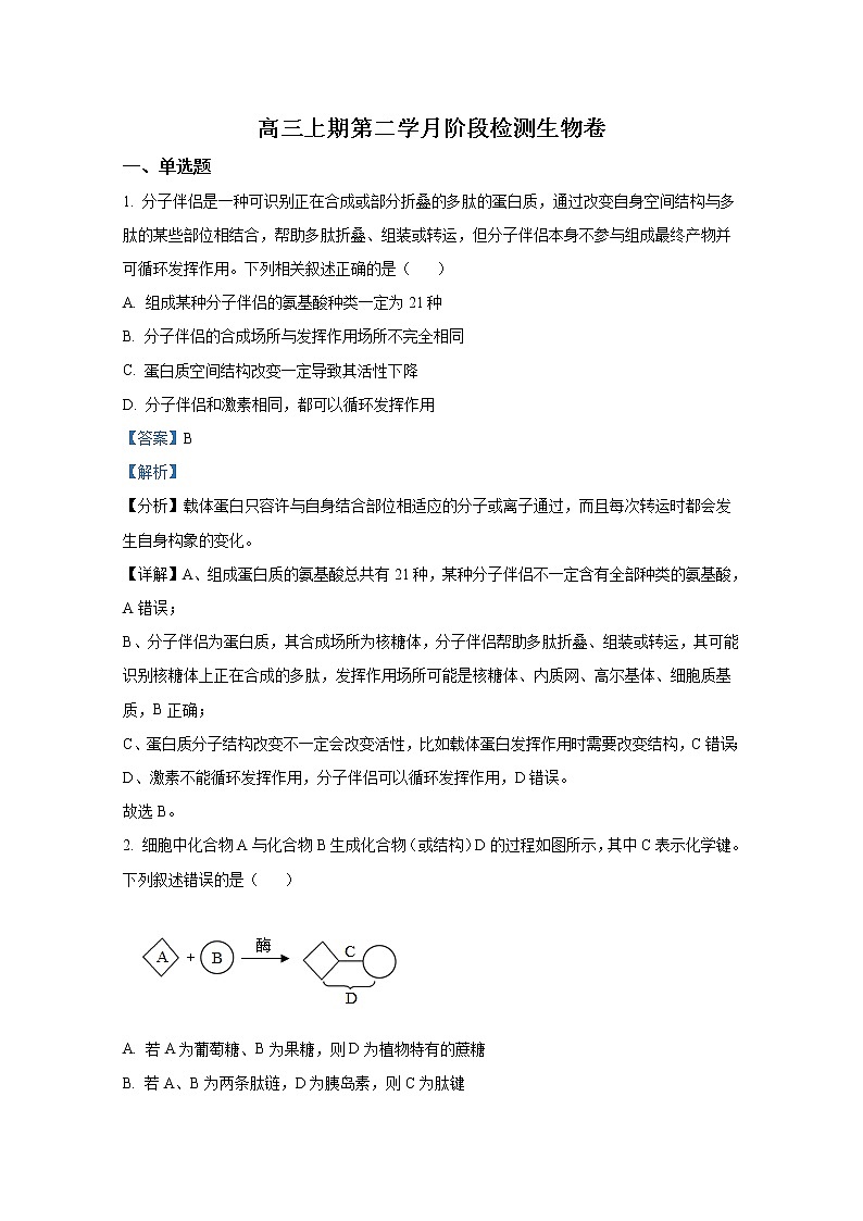 重庆市城口中学2022-2023学年高三生物上学期第二次月考试题（Word版附解析）第1页