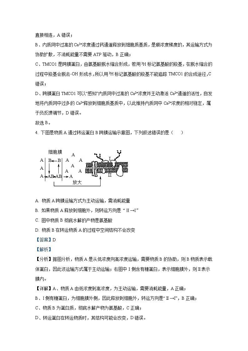 重庆市城口中学2022-2023学年高三生物上学期第二次月考试题（Word版附解析）第3页