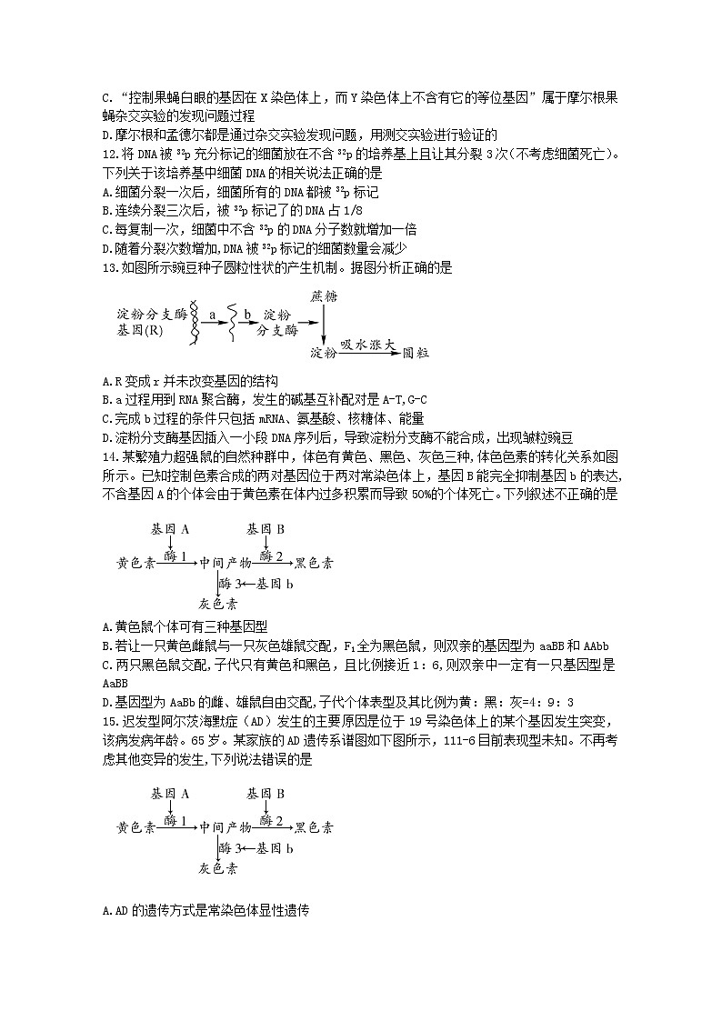 辽宁省沈阳市重点高中联盟2022-2023学年高三生物上学期期中检测（Word版附解析）03