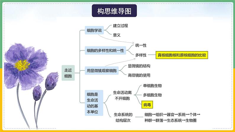 【备战2023高考】生物总复习——专题01《走近细胞》课件（新教材新高考）第6页