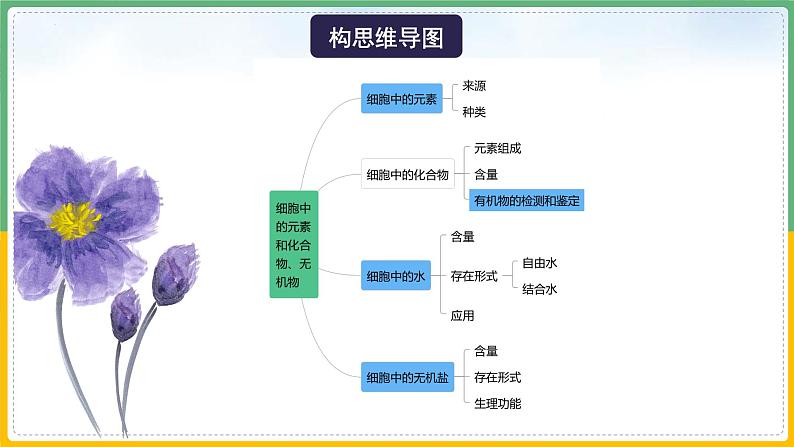 【备战2023高考】生物总复习——专题02《细胞中的元素、化合物、无机物》课件（新教材新高考）06