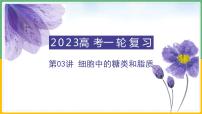 【备战2023高考】生物总复习——专题03《细胞中的糖类和脂质》课件（新教材新高考）