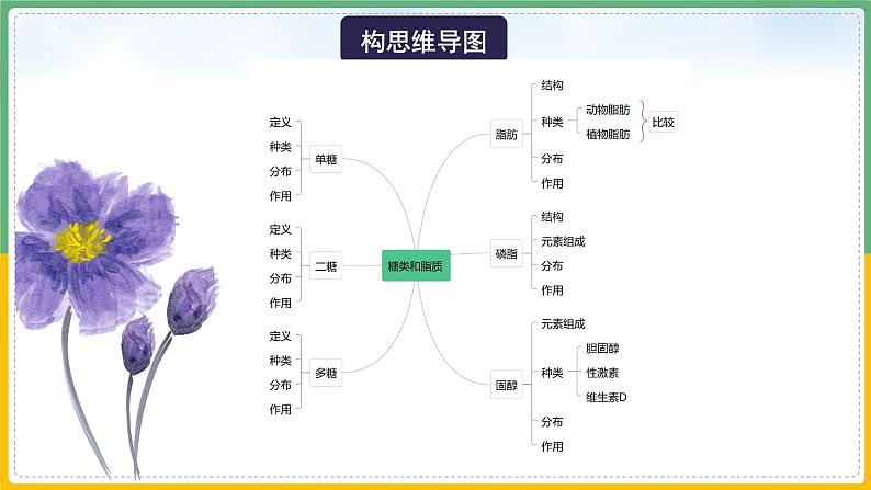 【备战2023高考】生物总复习——专题03《细胞中的糖类和脂质》课件（新教材新高考）06