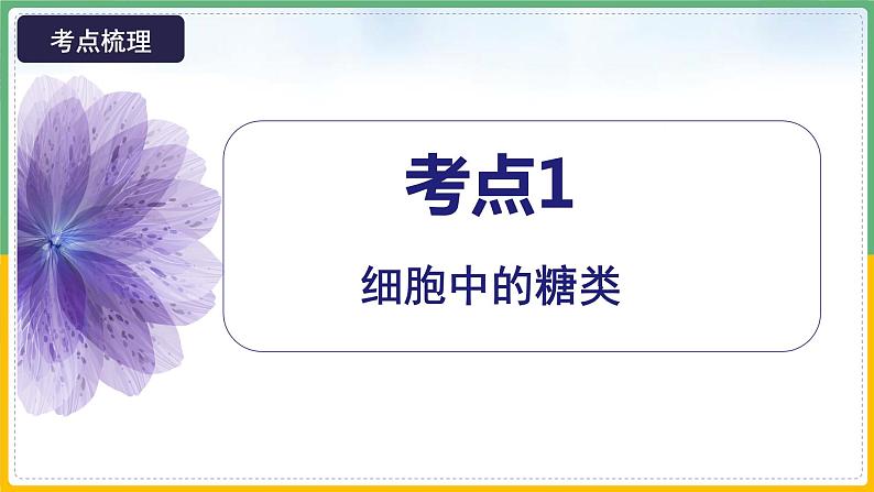 【备战2023高考】生物总复习——专题03《细胞中的糖类和脂质》课件（新教材新高考）07