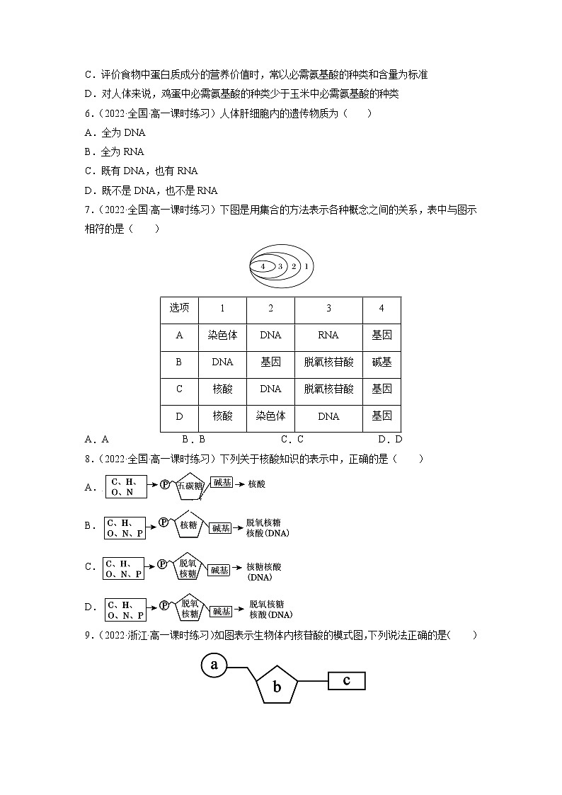 【备战2023高考】生物总复习——专题04《蛋白质与核酸》练习（新教材新高考）02