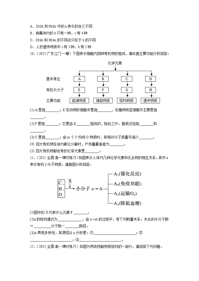 【备战2023高考】生物总复习——专题04《蛋白质与核酸》练习（新教材新高考）03