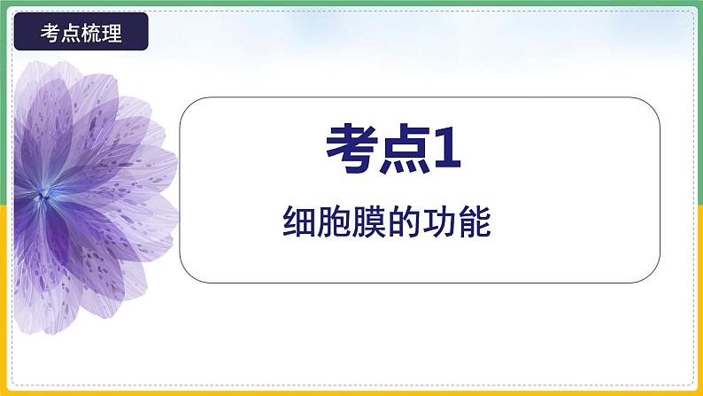 【备战2023高考】生物总复习——专题05《细胞膜与细胞核》课件（新教材新高考）第7页